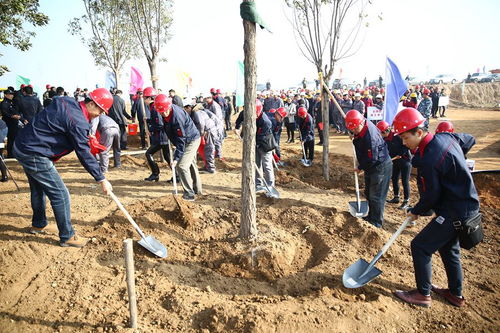 河北省第二屆 秦皇島 園林博覽會(huì)園林綠化工程開(kāi)工