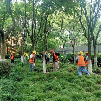 這座公園圍墻即將打開,實(shí)現(xiàn)與綠色空間的無界交流