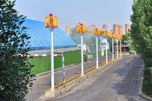 邯鄲洗選廠榮獲 全國(guó)綠化模范單位