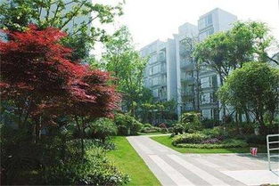 泰盛市政園林工程專(zhuān)業(yè) 專(zhuān)注 專(zhuān)心