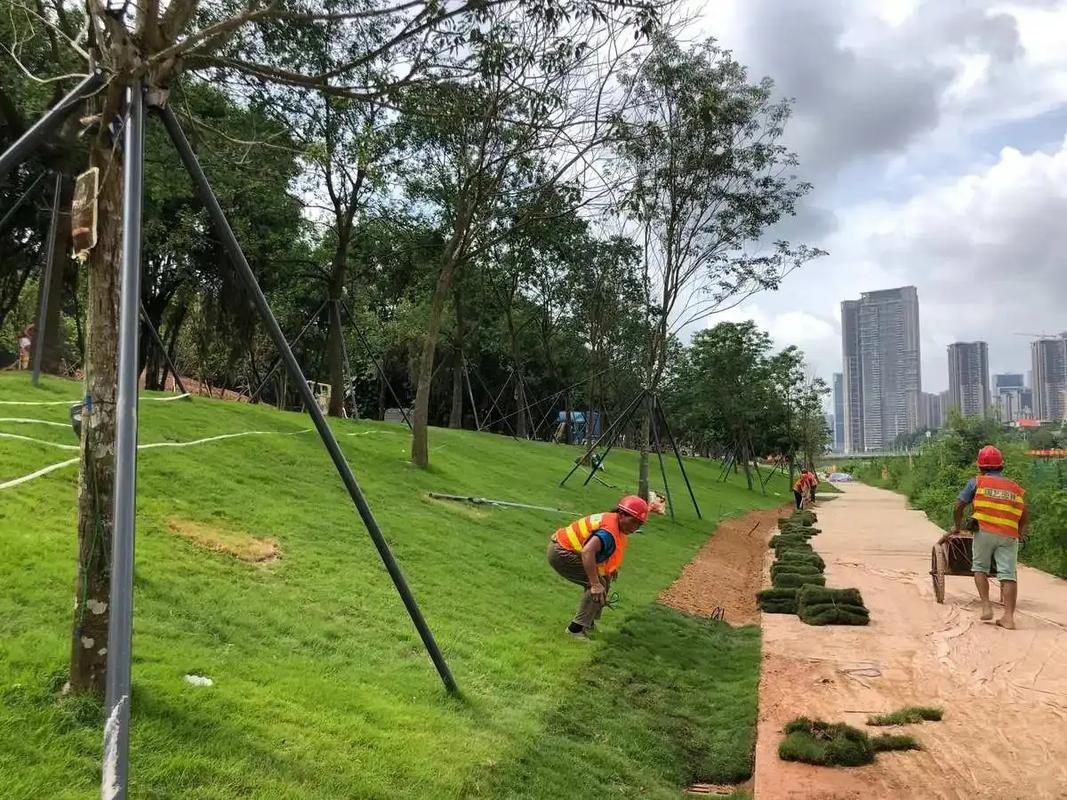 邊坡綠化工程.邊坡綠化工程專業(yè)綠化施工,助力打造綠色家園.精