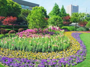 閑話園林綠化施工之三分種七分養